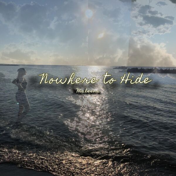 Cover art for Nowhere to Hide